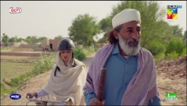 Zard Patton Ka Bunn - Episode 17 - 1st September 2024